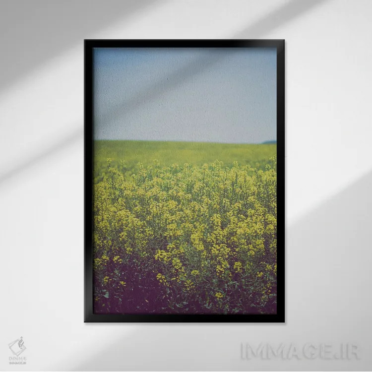 تابلو مزارع طلایی با دکور روستایی اثر آن هادک - نمای قابدار مشکی