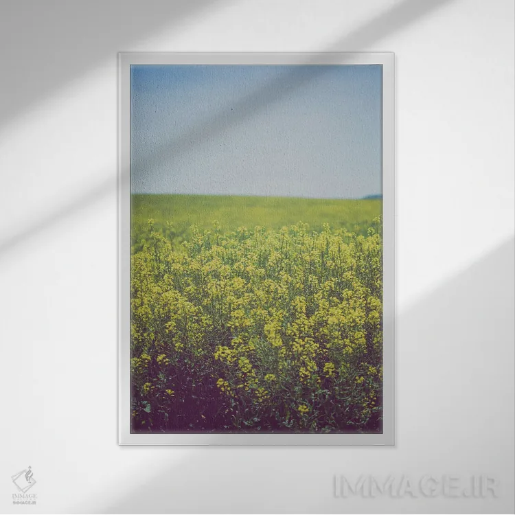 تابلو مزارع طلایی با دکور روستایی اثر آن هادک - نمای قابدار سفید