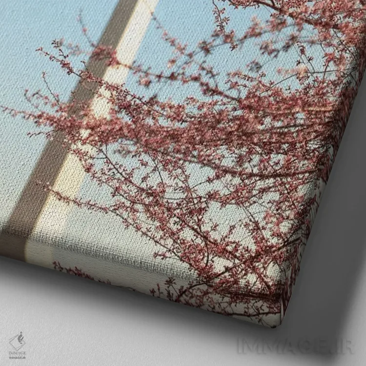 تابلو شکوفههای گیلاس و بنای یادبود واشینگتن اثر آن هادک - نمای نزدیک بافت بوم