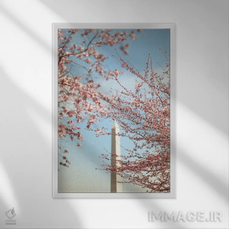 تابلو شکوفههای گیلاس و بنای یادبود واشینگتن اثر آن هادک - نمای قابدار سفید