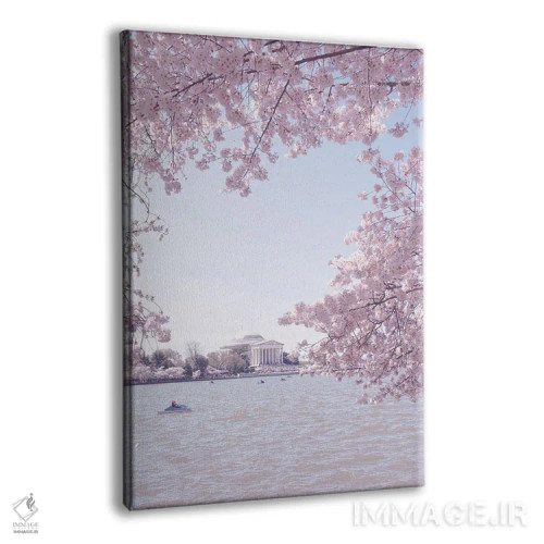 تابلو واشینگتن دیسی در فصل شکوفه II اثر آن هادک - نمای پرسپکتیو محصول