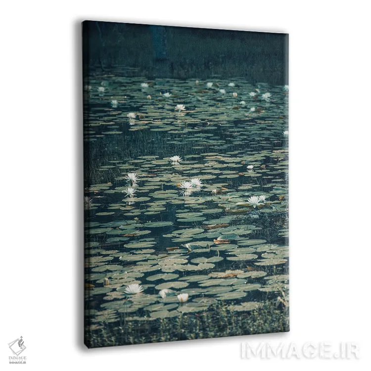 تابلو دشت نیلوفر تالاب لوئیزیانا اثر آن هادک - نمای پرسپکتیو محصول