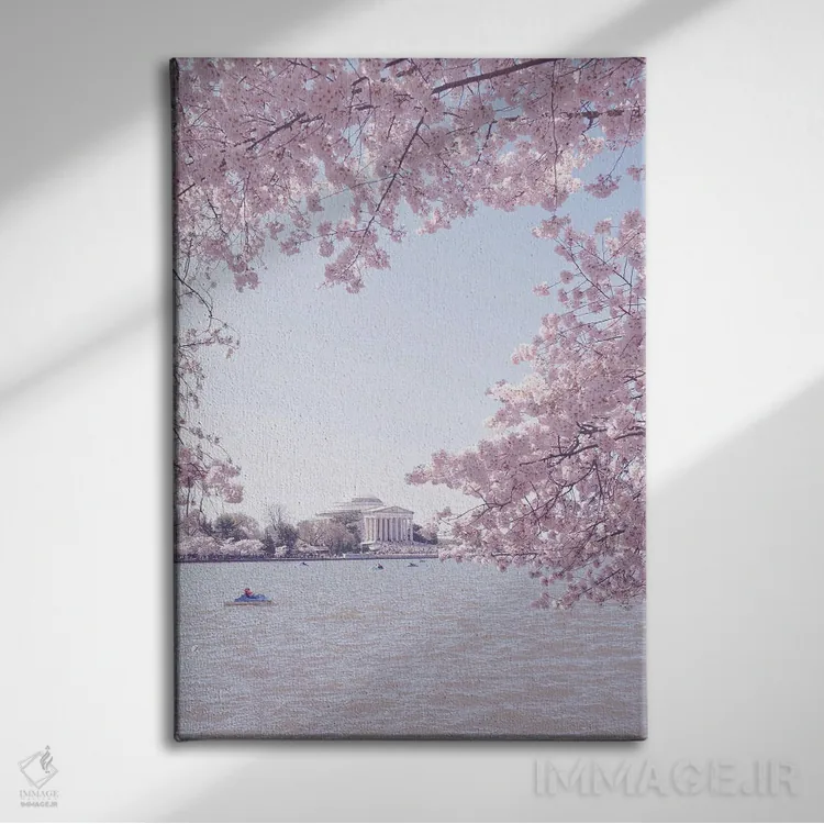 تابلو واشینگتن دیسی در فصل شکوفه II اثر آن هادک - نمای روبهرو روی دیوار