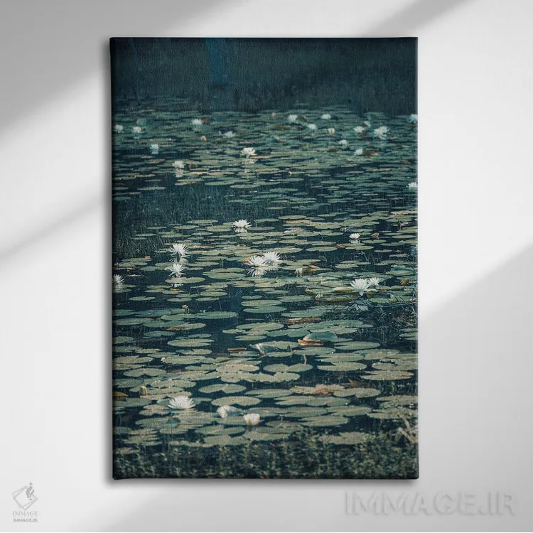 تابلو دشت نیلوفر تالاب لوئیزیانا اثر آن هادک - نمای روبهرو روی دیوار