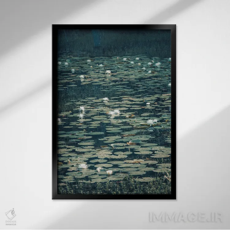 تابلو دشت نیلوفر تالاب لوئیزیانا اثر آن هادک - نمای قابدار مشکی
