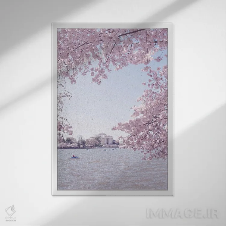تابلو واشینگتن دیسی در فصل شکوفه II اثر آن هادک - نمای قابدار سفید