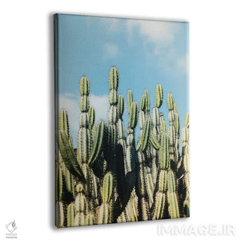 تابلو باغ بیابانی اثر آن هادک - نمای پرسپکتیو محصول