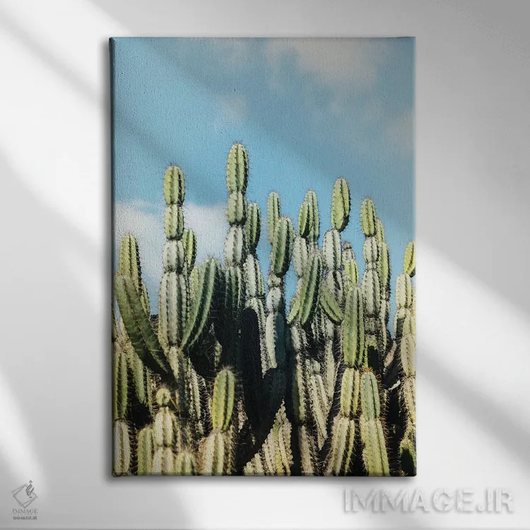 تابلو باغ بیابانی اثر آن هادک - نمای روبهرو روی دیوار