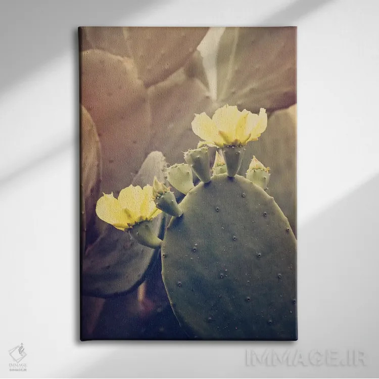 تابلو رز بیابانی اثر آن هادک - نمای روبهرو روی دیوار