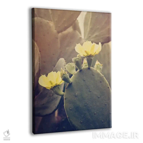 تابلو رز بیابانی اثر آن هادک - نمای پرسپکتیو محصول