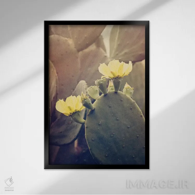 تابلو رز بیابانی اثر آن هادک - نمای قابدار مشکی