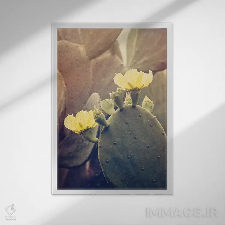 تابلو رز بیابانی اثر آن هادک - نمای قابدار سفید