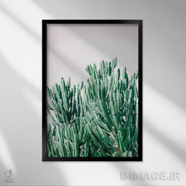 تابلو باغ بیابانی ۲ اثر آن هادک - نمای قابدار مشکی