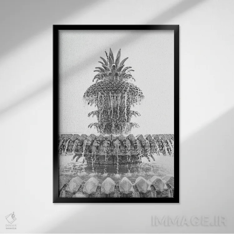 تابلو فواره آناناس X چارلستون کارولینای جنوبی اثر آن هادک - نمای قابدار مشکی