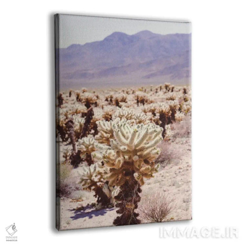 تابلو درخت جاشوا ۴ اثر آن هادک - نمای پرسپکتیو محصول