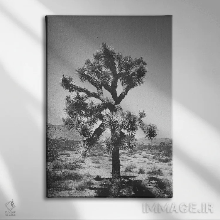 تابلو درخت جاشوا ۱ اثر آن هادک - نمای روبهرو روی دیوار