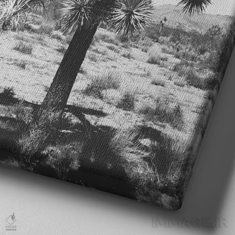 تابلو درخت جاشوا ۱ اثر آن هادک - نمای نزدیک بافت بوم