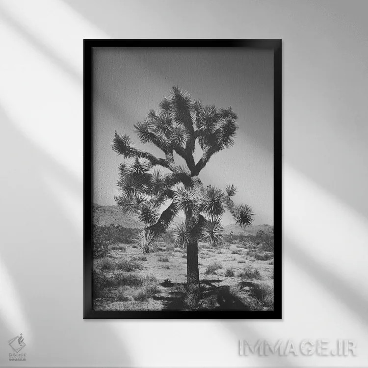 تابلو درخت جاشوا ۱ اثر آن هادک - نمای قابدار مشکی