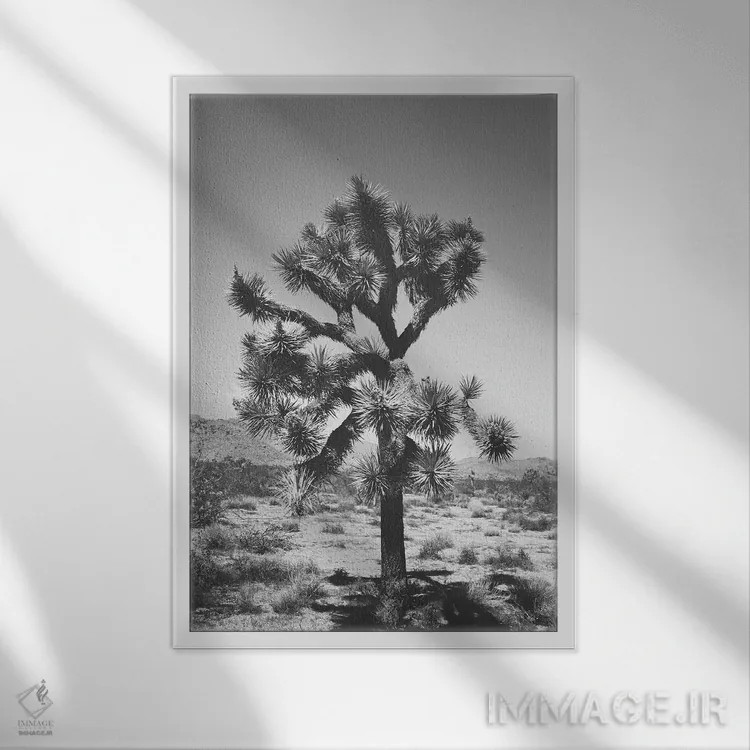 تابلو درخت جاشوا ۱ اثر آن هادک - نمای قابدار سفید