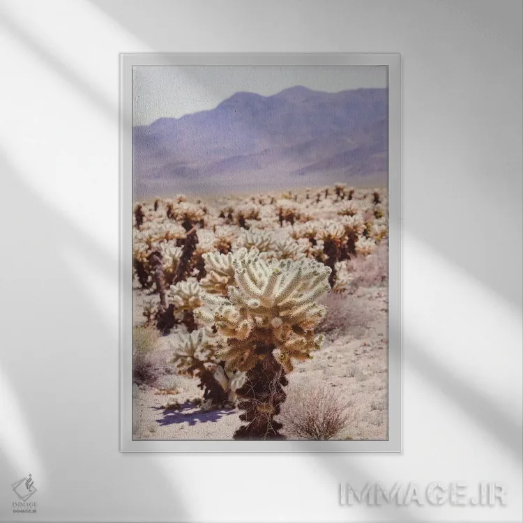 تابلو درخت جاشوا ۴ اثر آن هادک - نمای قابدار سفید