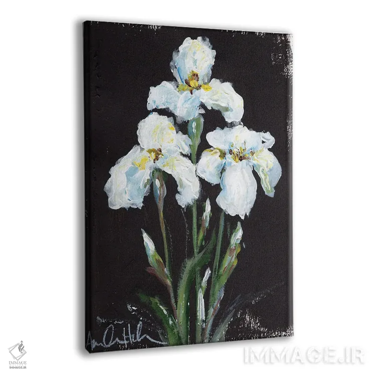 تابلو زنبقهای متضاد اثر آماندا هیلبرن - نمای پرسپکتیو محصول