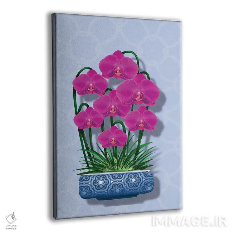 تابلو ارکیده در گلدان آبی اثر آن هاچینسون - نمای پرسپکتیو محصول