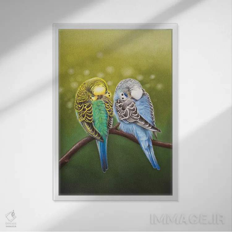 تابلو خواب نیمروزی مرغ عشق اثر آن هاچینسون - نمای قابدار سفید