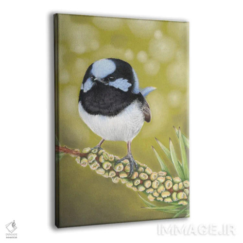 تابلو آقای پریپری آبی خارقالعاده (نوع پرنده) اثر آن هاچینسون - نمای پرسپکتیو محصول