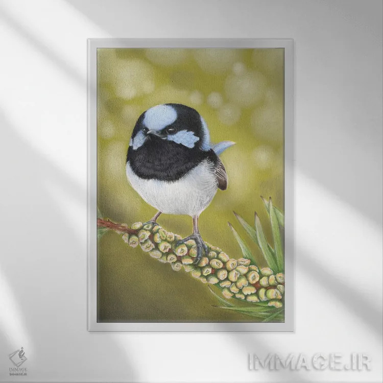 تابلو آقای پریپری آبی خارقالعاده (نوع پرنده) اثر آن هاچینسون - نمای قابدار سفید