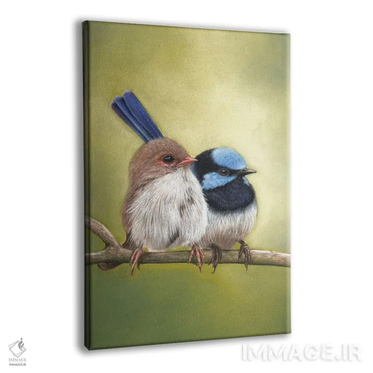تابلو جفت مرغ پری فوقالعاده (نوعی پرنده) اثر آن هاچینسون - نمای پرسپکتیو محصول