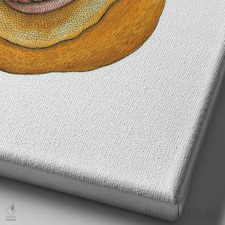 تابلو حلزون اثر آن هاچینسون - نمای نزدیک بافت بوم