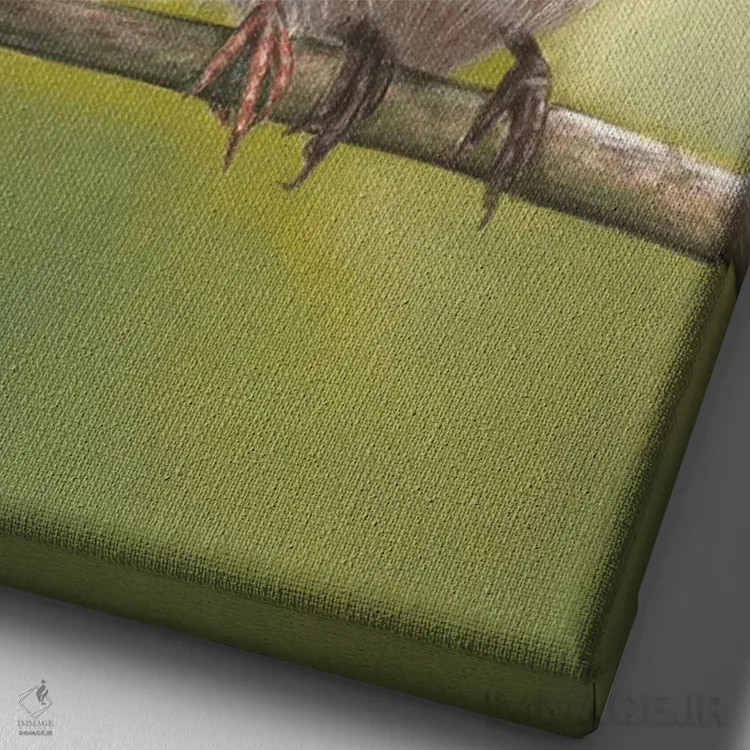 تابلو جفت مرغ پری فوقالعاده (نوعی پرنده) اثر آن هاچینسون - نمای نزدیک بافت بوم