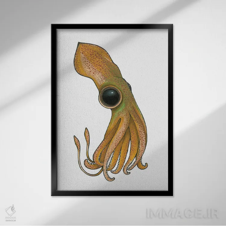 تابلو ماهی مرکب (اسکوئید) اثر آن هاچینسون - نمای قابدار مشکی