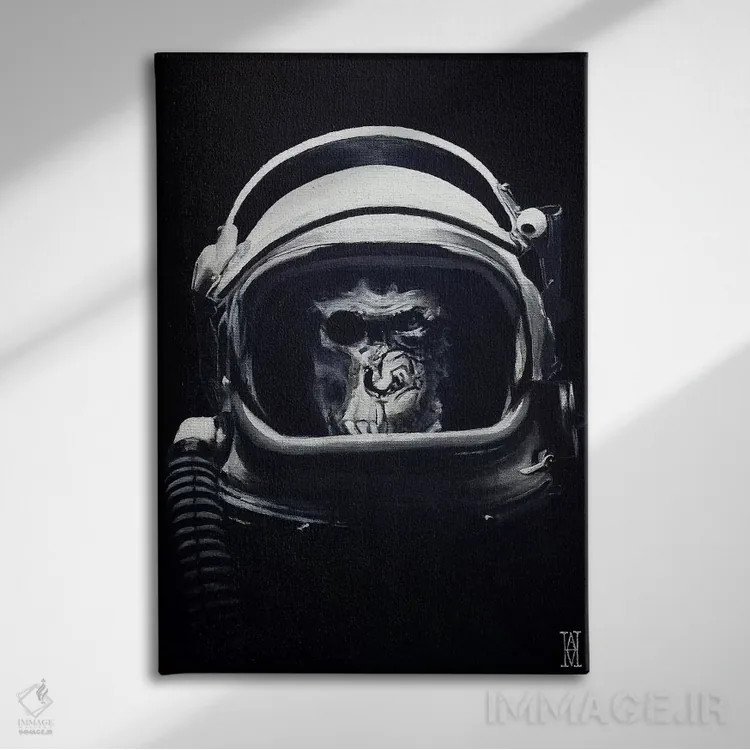 تابلو سرباز سفینهای اثر الک هاکسلی - نمای روبهرو روی دیوار