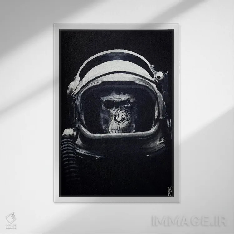 تابلو سرباز سفینهای اثر الک هاکسلی - نمای قابدار سفید