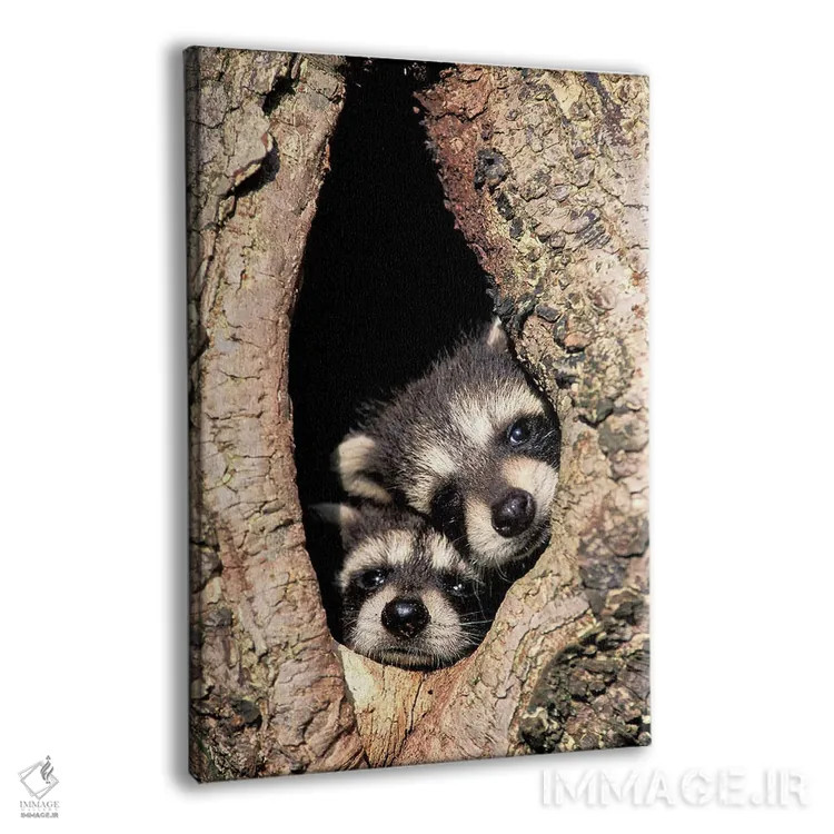 تابلو راکنهای کودک در حفره درخت اثر آدام جونز - نمای پرسپکتیو محصول