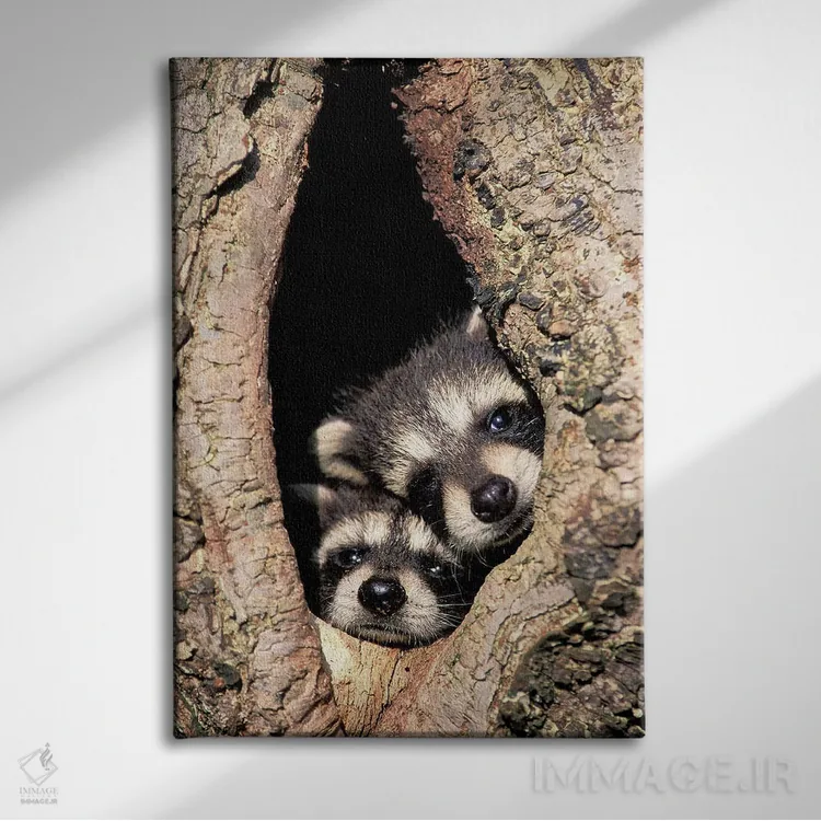 تابلو راکنهای کودک در حفره درخت اثر آدام جونز - نمای روبهرو روی دیوار