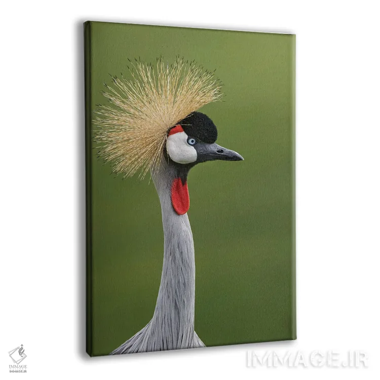 تابلو درنای تاجدار آفریقایی اثر آدام جونز - نمای پرسپکتیو محصول