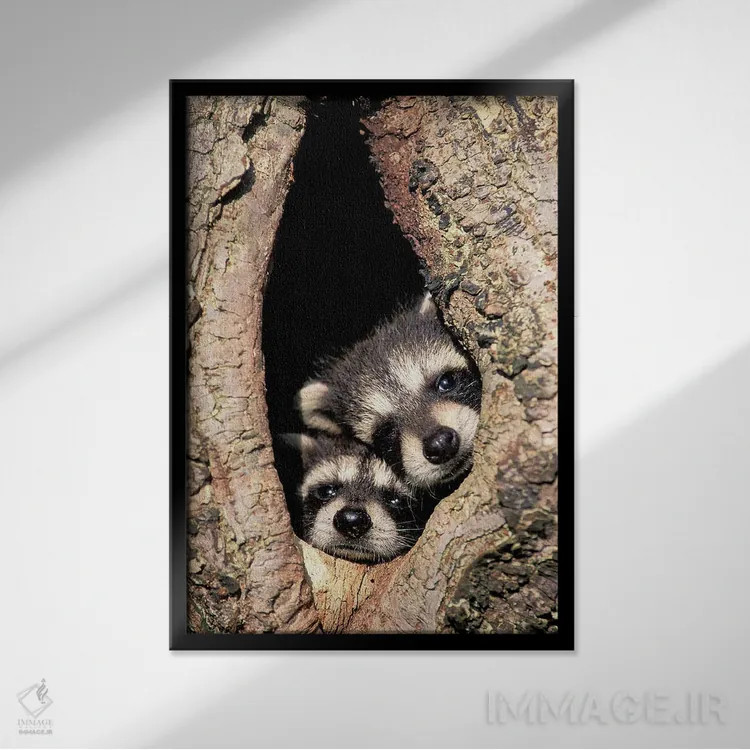 تابلو راکنهای کودک در حفره درخت اثر آدام جونز - نمای قابدار مشکی