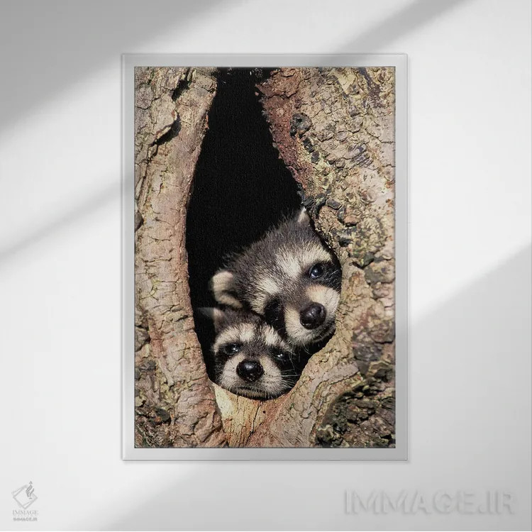 تابلو راکنهای کودک در حفره درخت اثر آدام جونز - نمای قابدار سفید