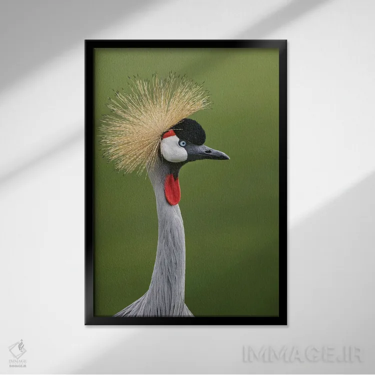 تابلو درنای تاجدار آفریقایی اثر آدام جونز - نمای قابدار مشکی