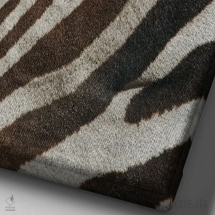 تابلو نمای نزدیک گورخر برچل، ماسای مارا، کنیا، آفریقا اثر آدام جونز - نمای نزدیک بافت بوم