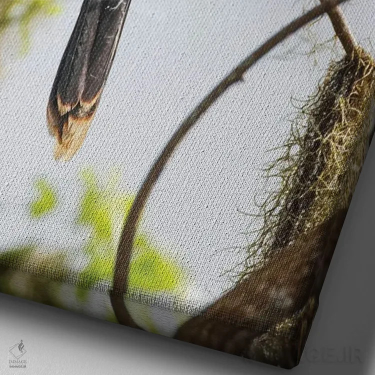 تابلو آنهینگای ماده، مزرعه سیرکل بی، فلوریدا اثر آدام جونز - نمای نزدیک بافت بوم