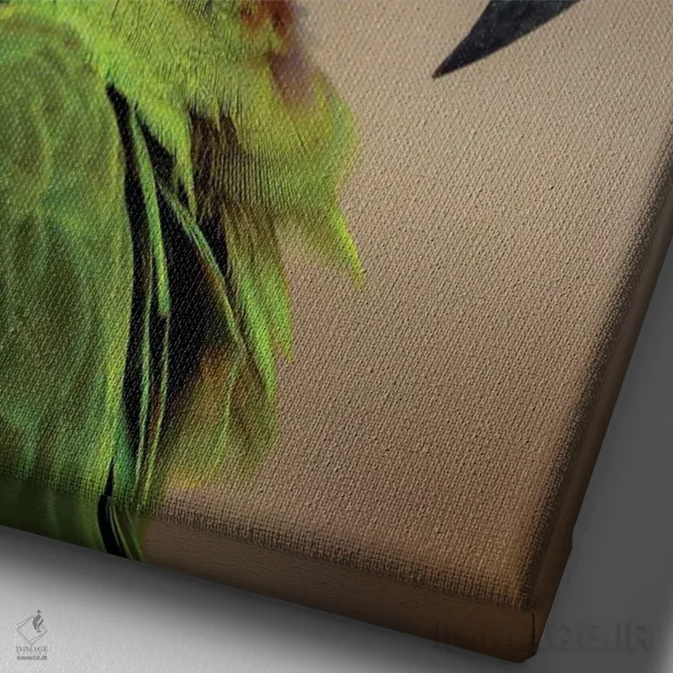 تابلو طوطی بزرگ سبز (ماکائو)، بومی آمریکای جنوبی اثر آدام جونز - نمای نزدیک بافت بوم