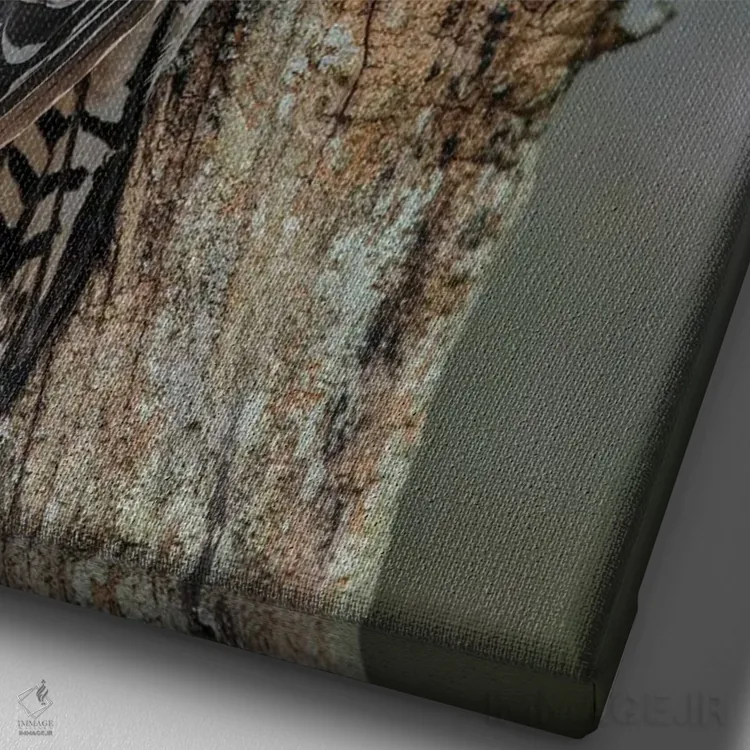 تابلو دارکوب شکمقرمز ماده و توتهای قرمز، کنتاکی اثر آدام جونز - نمای نزدیک بافت بوم