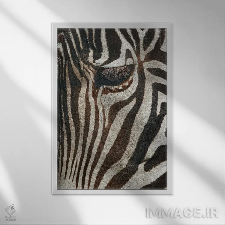 تابلو نمای نزدیک گورخر برچل، ماسای مارا، کنیا، آفریقا اثر آدام جونز - نمای قابدار سفید