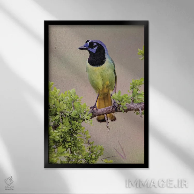 تابلو جِی سبز، درهٔ ریو گرانده، تگزاس (۲) اثر آدام جونز - نمای قابدار مشکی