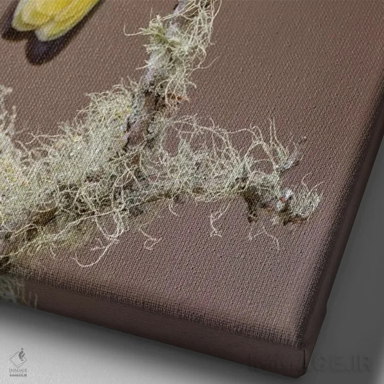 تابلو جِی سبز، درهٔ ریو گرانده، تگزاس (۱) اثر آدام جونز - نمای نزدیک بافت بوم