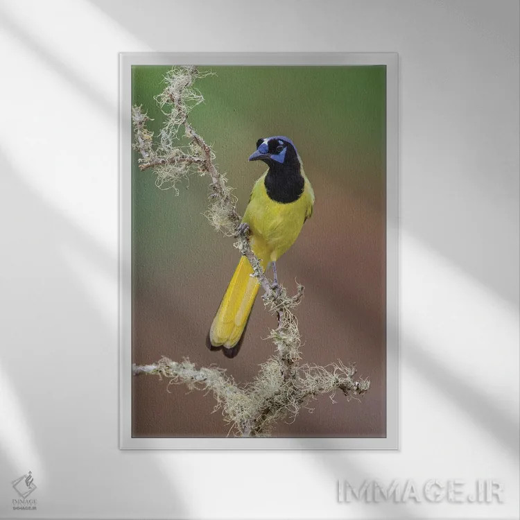 تابلو جِی سبز، درهٔ ریو گرانده، تگزاس (۱) اثر آدام جونز - نمای قابدار سفید