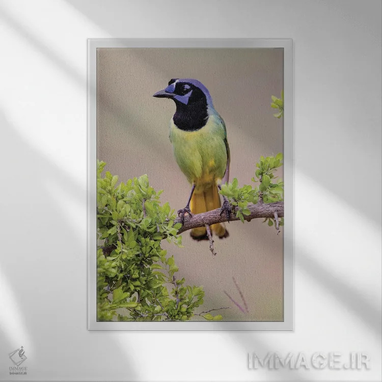 تابلو جِی سبز، درهٔ ریو گرانده، تگزاس (۲) اثر آدام جونز - نمای قابدار سفید